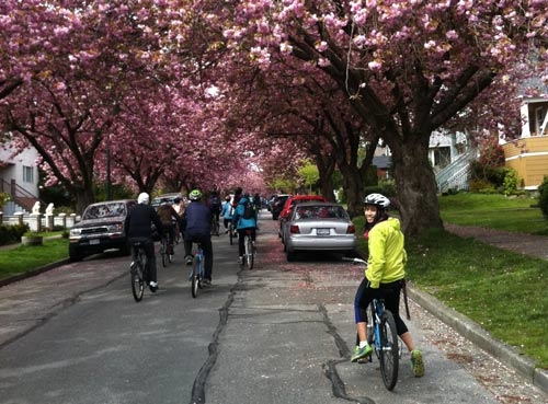 Bike the Blossoms riders (2014)
